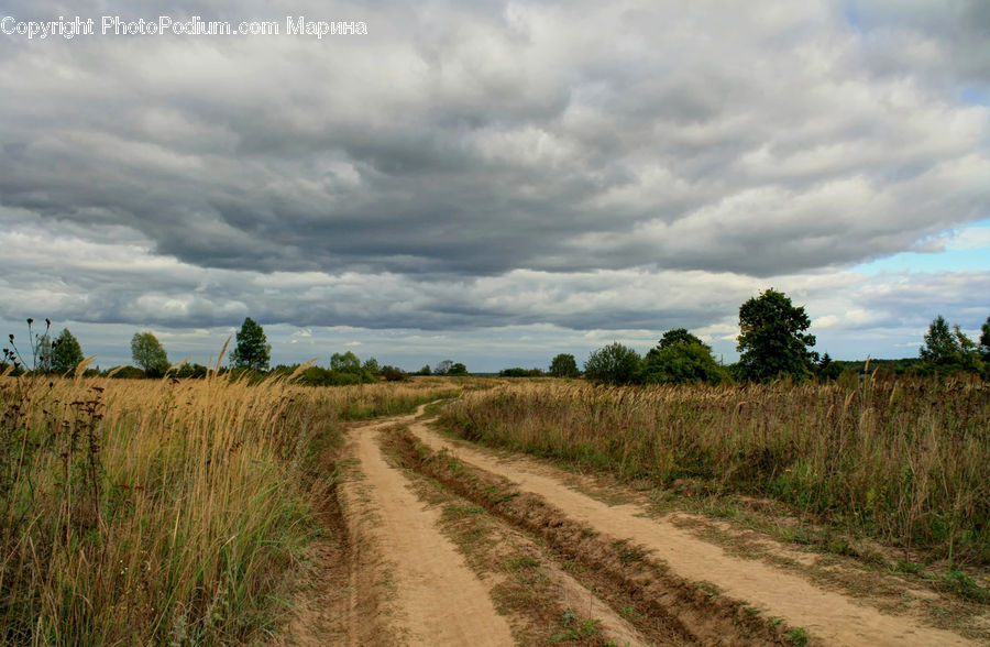 Dirt Road, Gravel, Road, Landscape, Nature, Scenery, Field