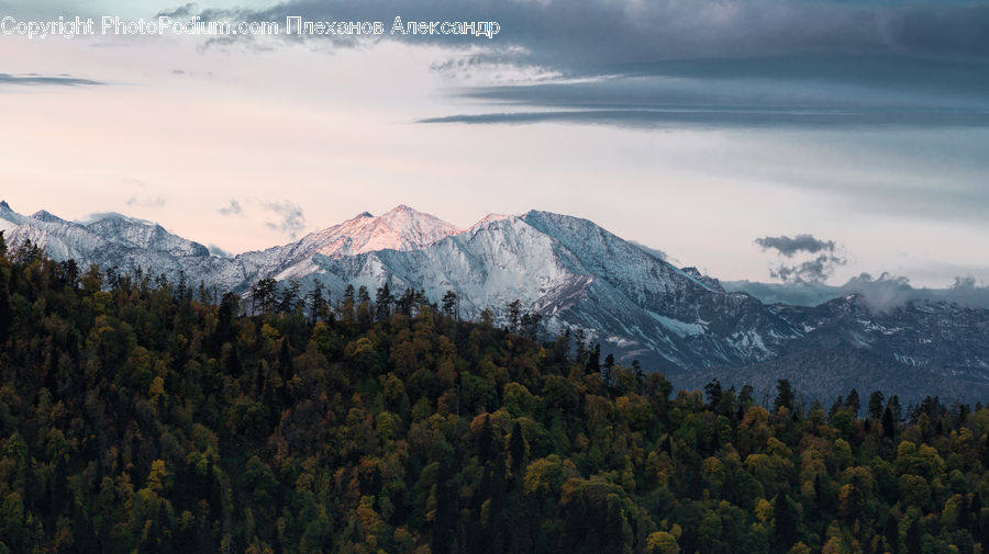 Crest, Mountain, Mountain Range, Outdoors, Peak, Forest, Vegetation