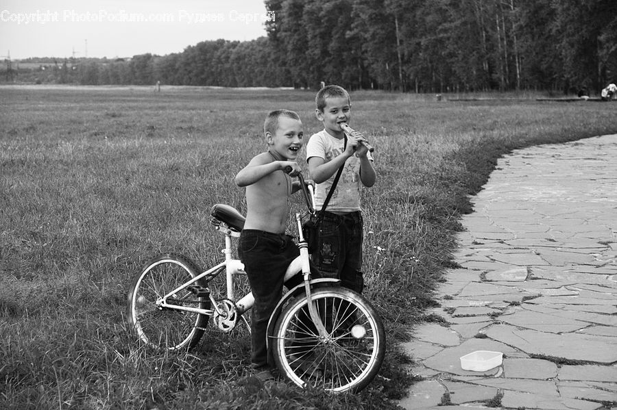 People, Person, Human, Wheelchair, Bicycle, Bike, Vehicle