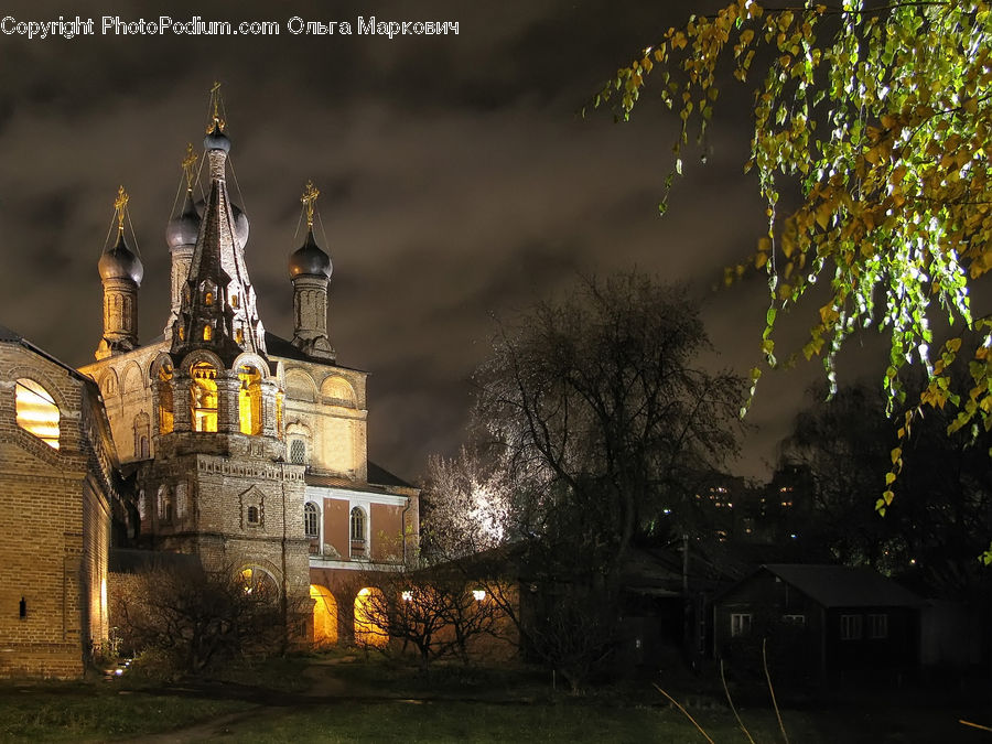 Architecture, Castle, Fort, Plant, Tree, Tower, Church