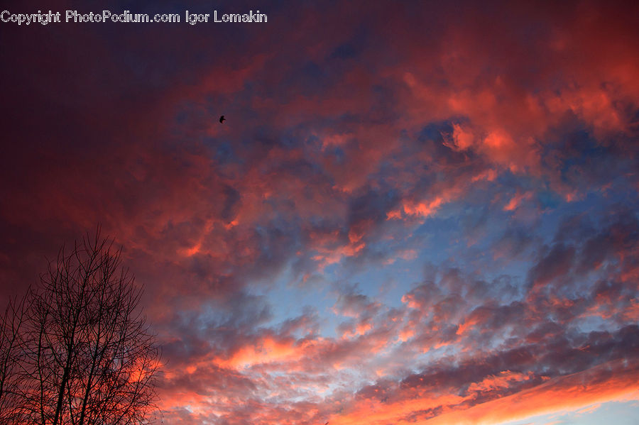 Dawn, Dusk, Red Sky, Sky, Sunrise, Sunset, Azure Sky