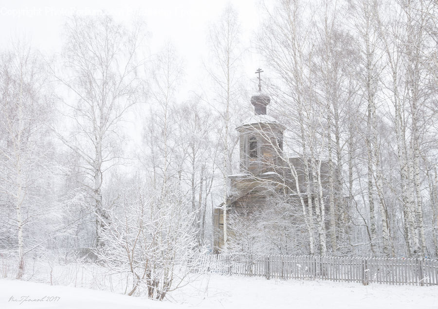 Blizzard, Outdoors, Snow, Weather, Winter, Ice