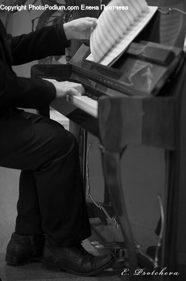 People, Person, Human, Musical Instrument, Piano