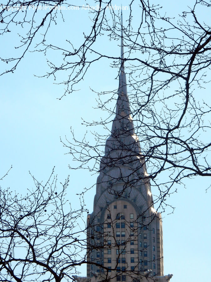 Architecture, Spire, Steeple, Tower, Cathedral, Church, Worship