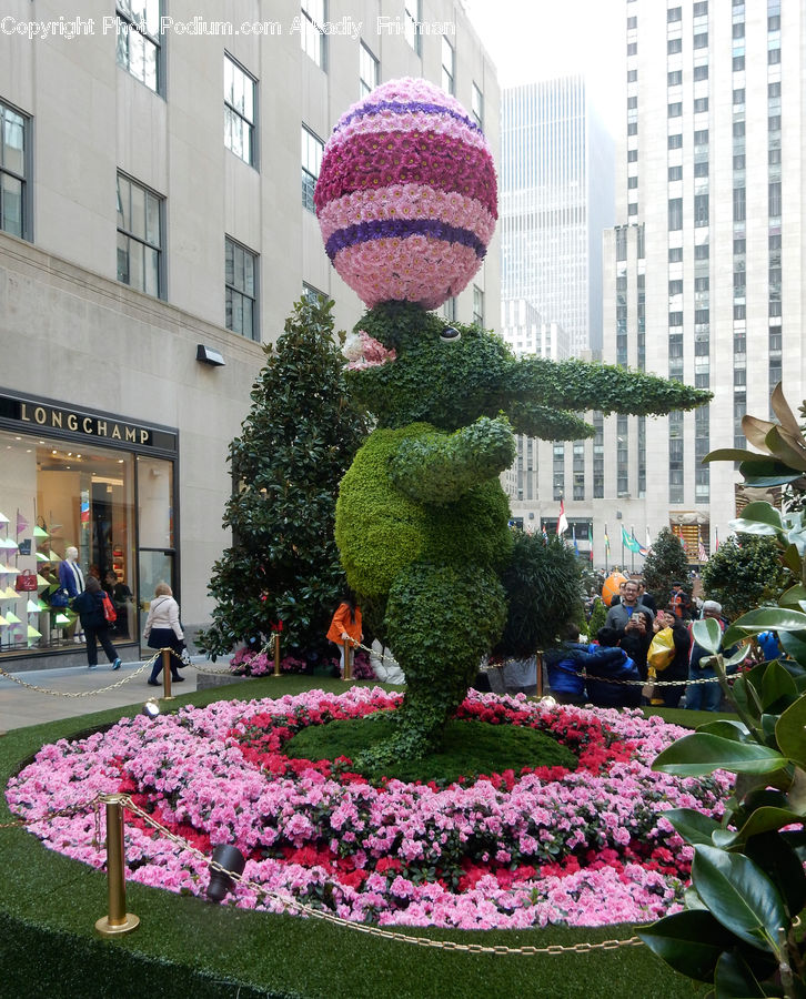 Knitting, Plant, Garden, Carnival, Crowd, Festival, Parade
