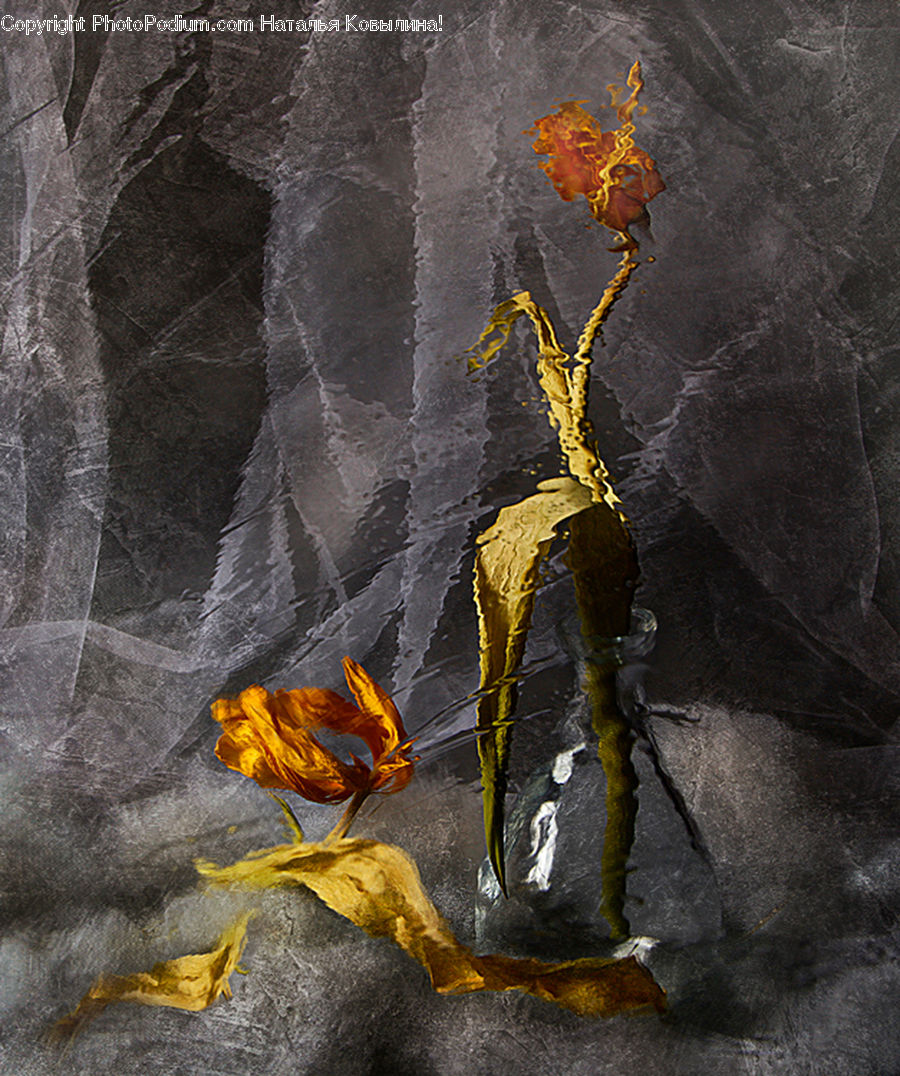 Blossom, Crocus, Flora, Flower, Plant, Pavement, Bonfire