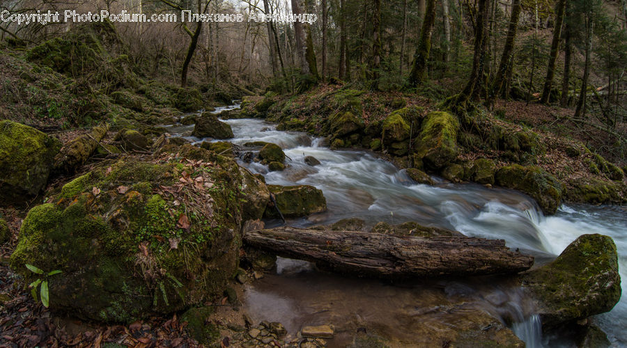 Creek, Outdoors, River, Water, Rock, Stream, Waterfall