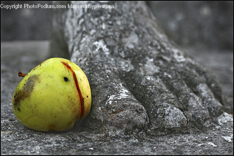 Fruit, Quince