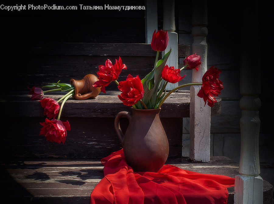 Blossom, Flower, Plant, Rose, Potted Plant, Floral Design, Flower Arrangement