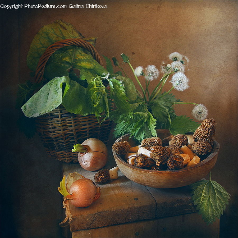 Bowl, Plant, Potted Plant, Leaf, Pot, Pottery, Veins