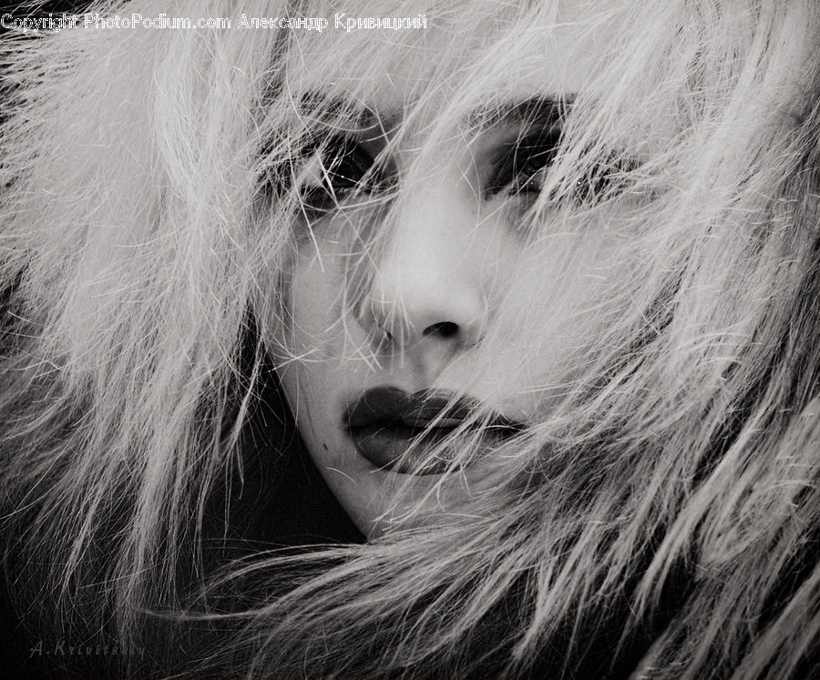 Person, Portrait, Female, Face, Hair, Blonde