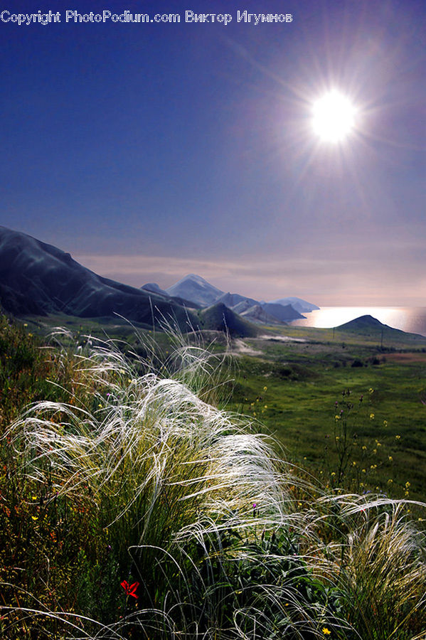 Field, Grass, Grassland, Plant, Land, Outdoors, Mountain
