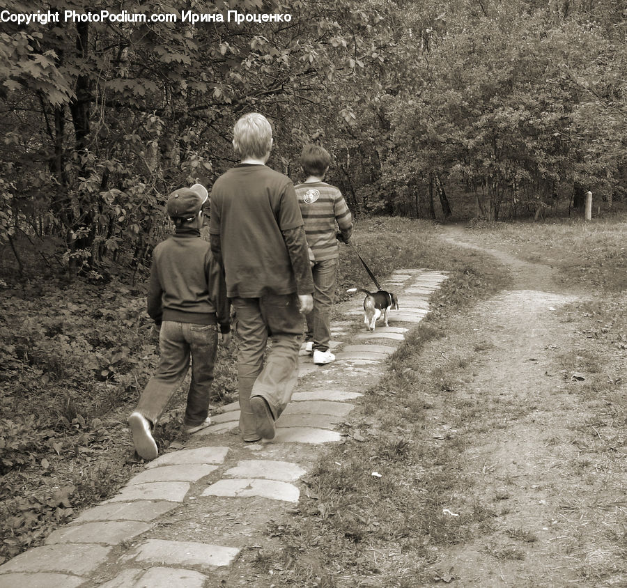 People, Person, Human, Garden, Gardener, Gardening, Path