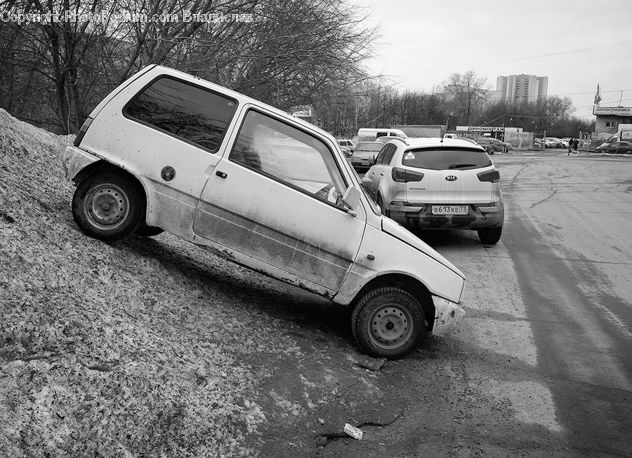 Automobile, Car, Sedan, Vehicle, Suv, Coupe, Sports Car