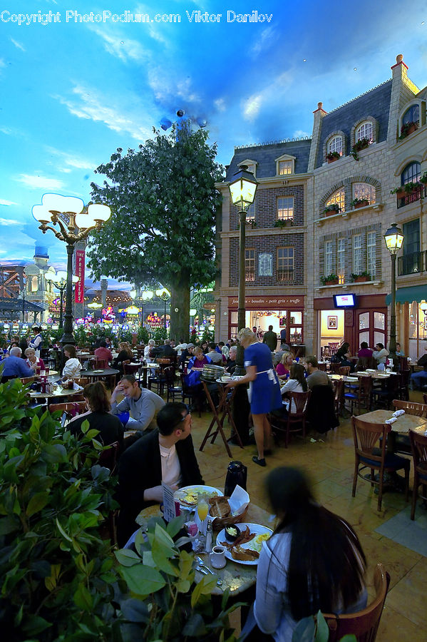 Chair, Furniture, Cafe, Cafeteria, Food Court, Bazaar, Market