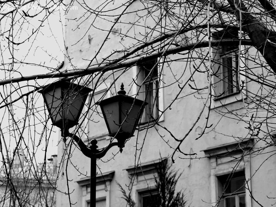 Building, Housing, Villa, City, Downtown, Urban, Neighborhood