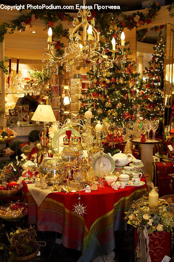 Plant, Potted Plant, Buffet, Cafeteria, Food, Meal, People