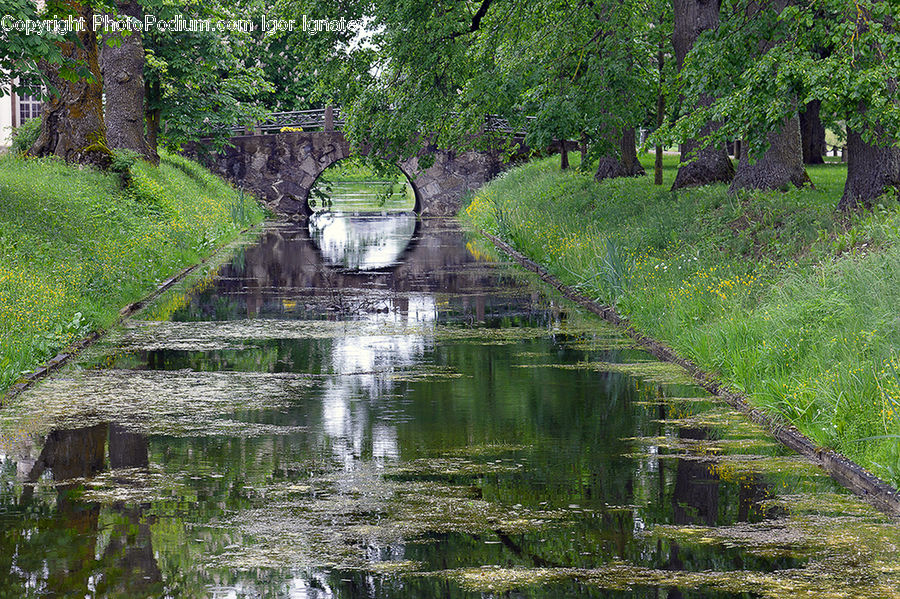 Canal, Outdoors, River, Water, Oak, Tree, Wood
