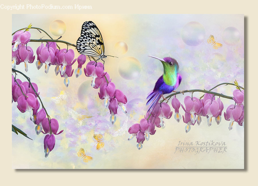 Blossom, Flora, Flower, Petal, Plant, Art, Floral Design