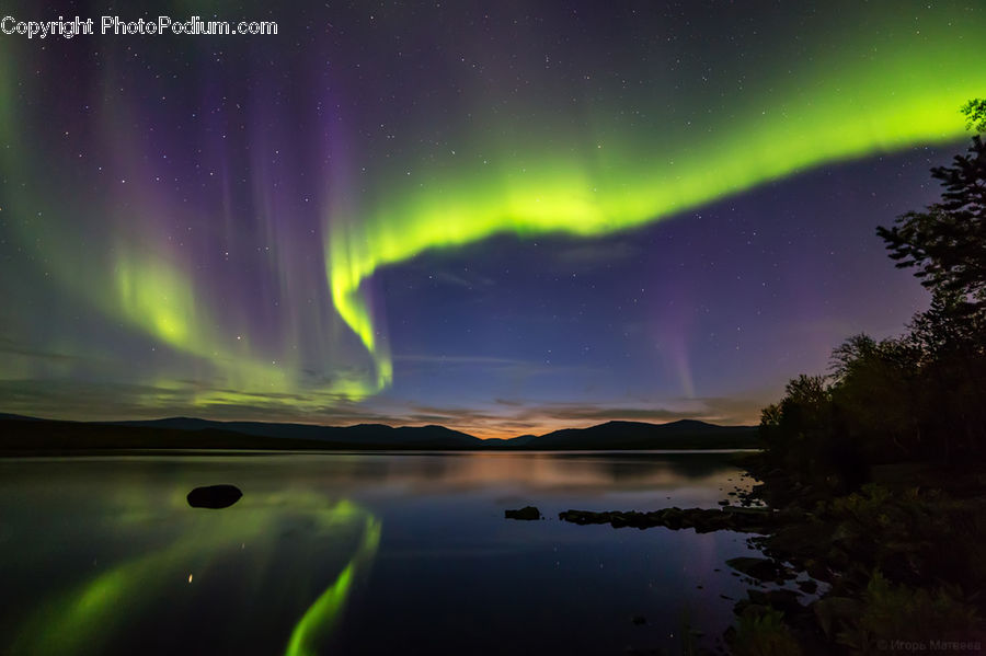 Aurora, Light, Night, Outdoors, Blossom, Flora, Flower