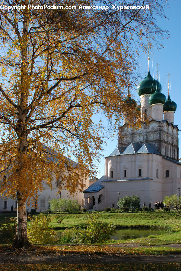 Architecture, Housing, Monastery, Bell Tower, Clock Tower, Tower, Castle