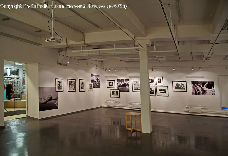 Art, Art Gallery, Lighting, Indoors, Interior Design, Room