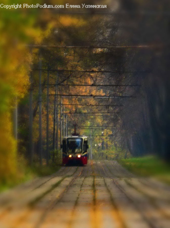 Dirt Road, Gravel, Road, Train, Vehicle, Bus