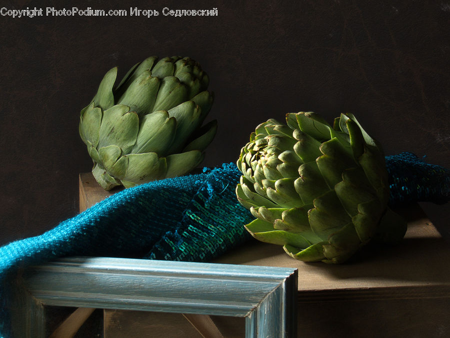 Artichoke, Plant, Cabbage, Produce, Vegetable, Conifer, Fir