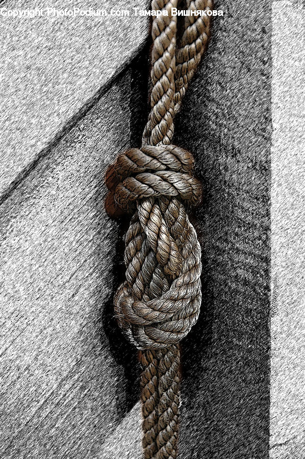 Knot