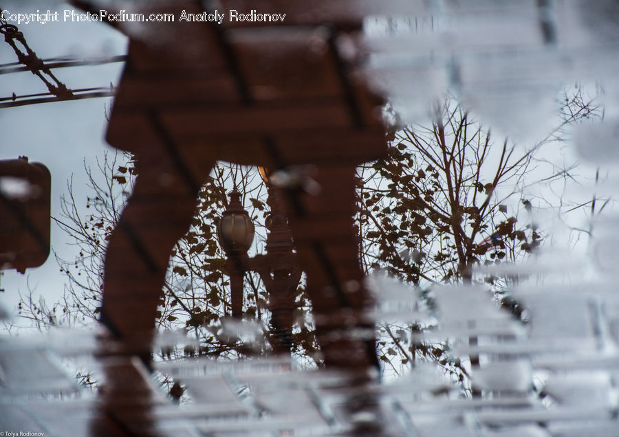 Crystal, Snowflake, Puddle, Ice, Outdoors, Snow, Paper