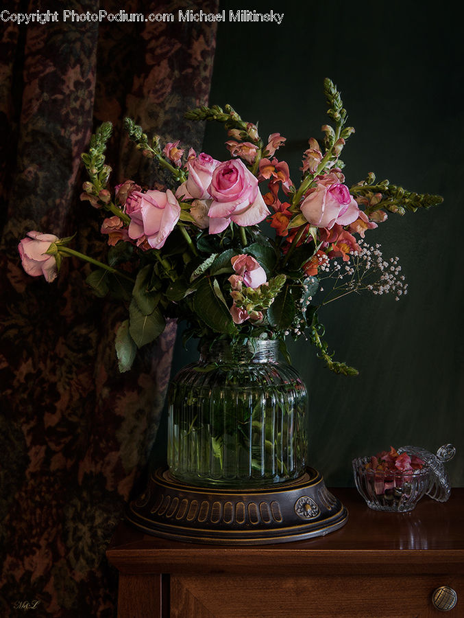 Blossom, Flower, Plant, Rose, Potted Plant, Bowl, Glass