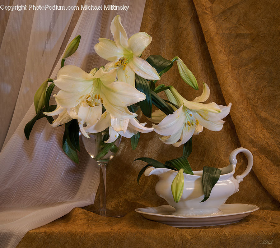 Floral Design, Flower, Flower Arrangement, Flower Bouquet, Ikebana, Porcelain, Saucer