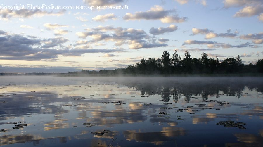 Land, Marsh, Pond, Swamp, Water, Dawn, Dusk
