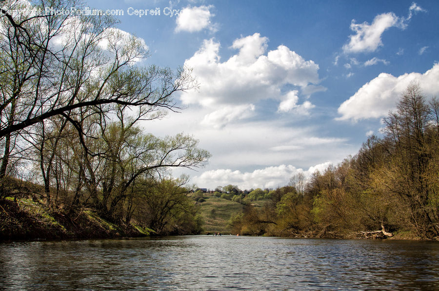 Outdoors, River, Water, Landscape, Nature, Scenery, Forest