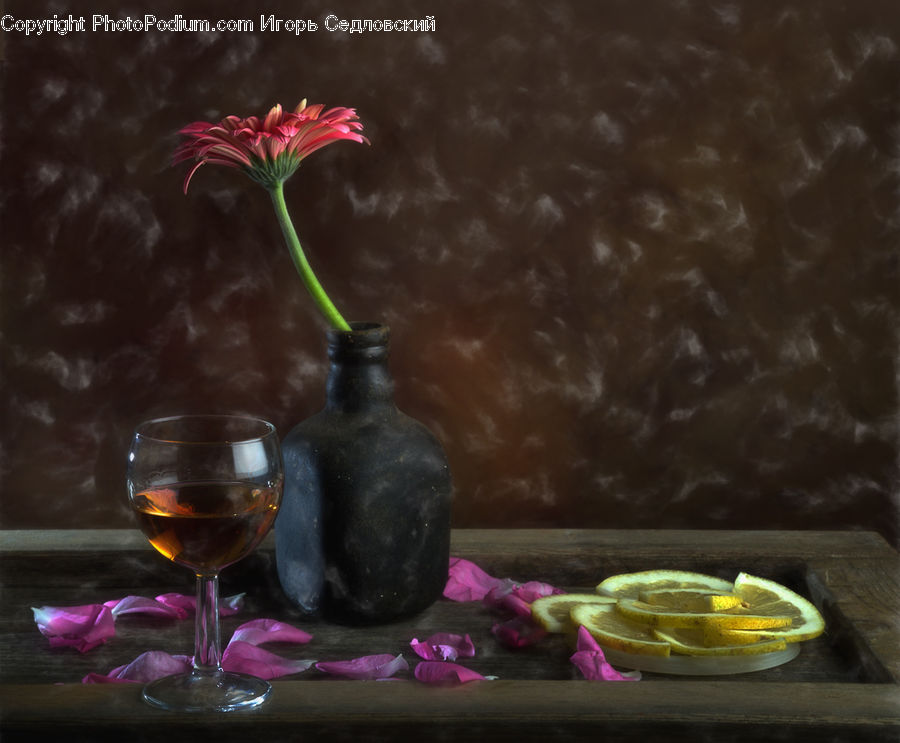 Glass, Goblet, Blossom, Flora, Flower, Plant, Petal