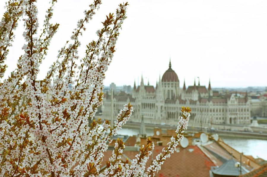 Architecture, Castle, Mansion, Palace, Parliament, Court, Dome