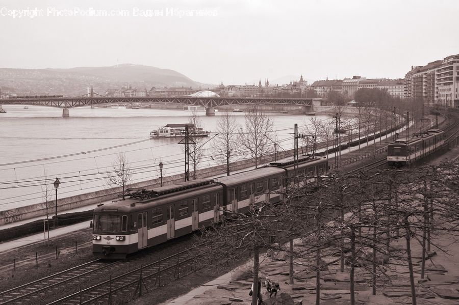 Train, Vehicle, Cable Car, Streetcar, Trolley, Dock, Landing
