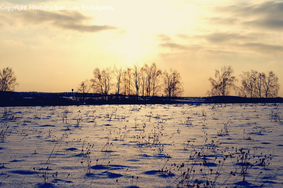 Dawn, Dusk, Sky, Sunrise, Sunset, Land, Marsh