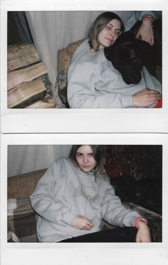 People, Person, Human, Animal, Bulldog, Canine, Dog
