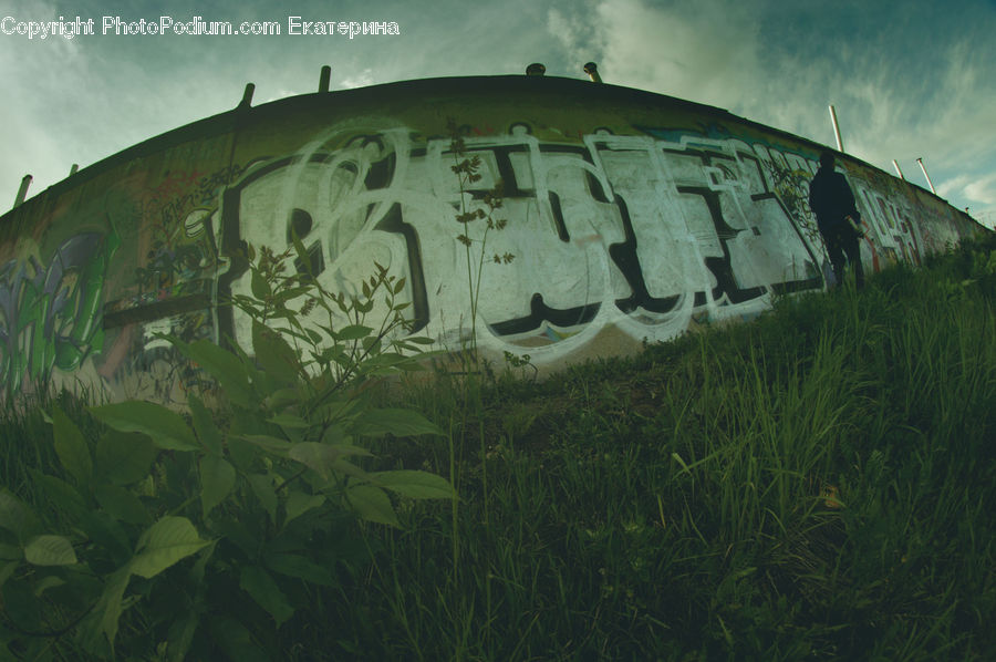 Sphere, Bunker, Field, Grass, Grassland, Plant, Landscape