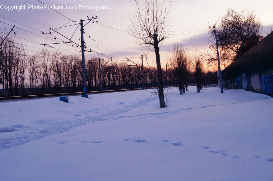 Ice, Outdoors, Snow, Plant, Tree, Landscape, Nature