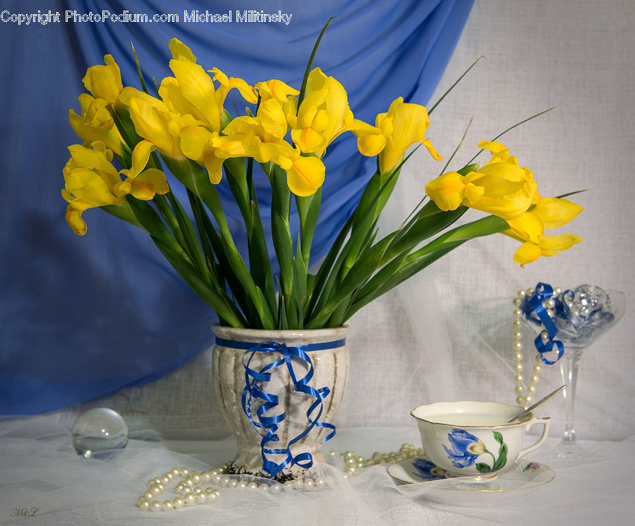 Glass, Goblet, Porcelain, Saucer, Flower, Flower Arrangement, Flower Bouquet