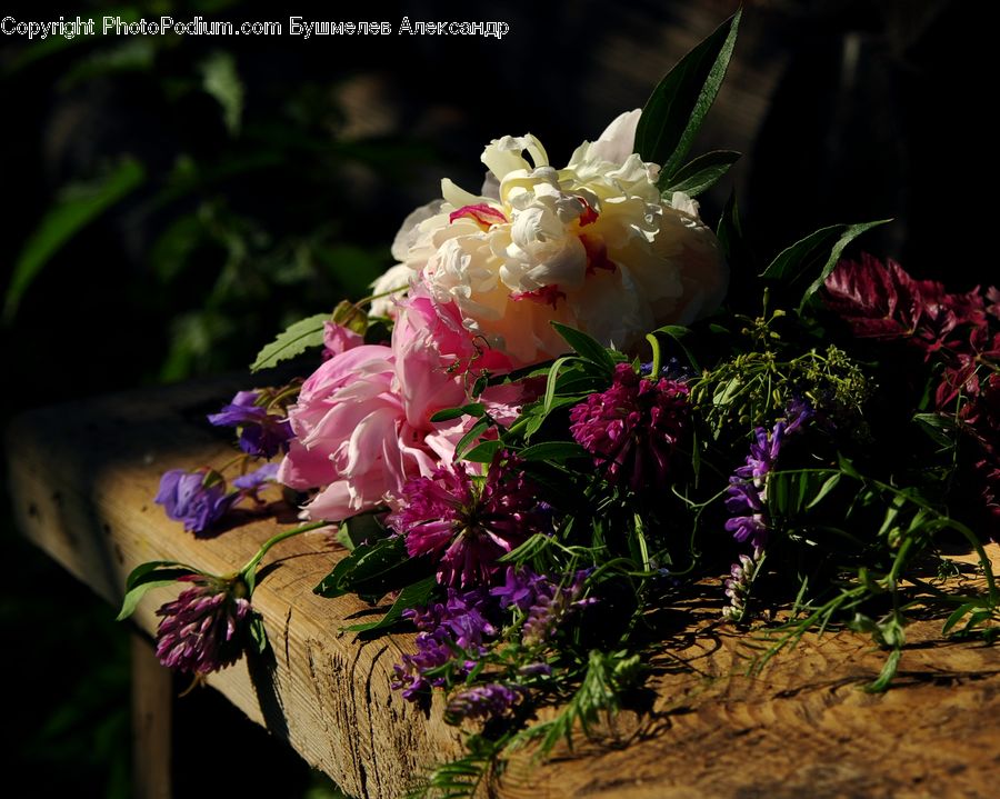 Plant, Potted Plant, Flower, Flower Arrangement, Flower Bouquet, Floral Design, Ikebana