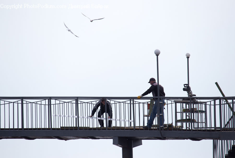 People, Person, Human, Worker, Dock, Pier