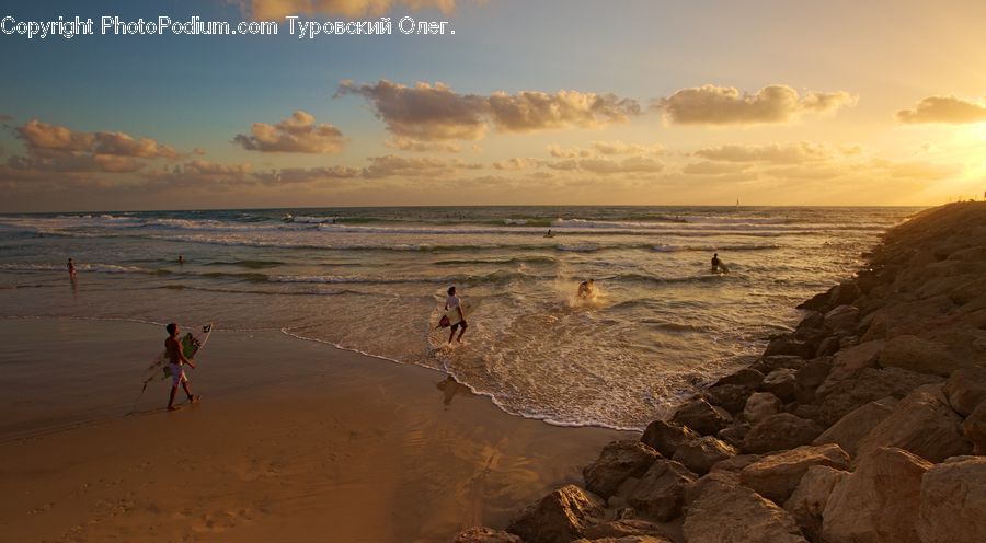 Beach, Coast, Outdoors, Sea, Water