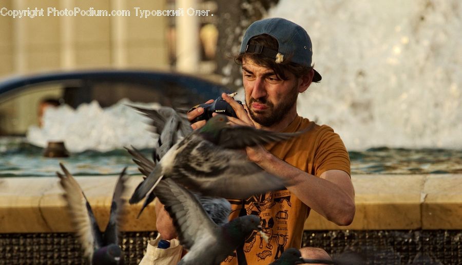 People, Person, Human, Bird, Pigeon, Dove