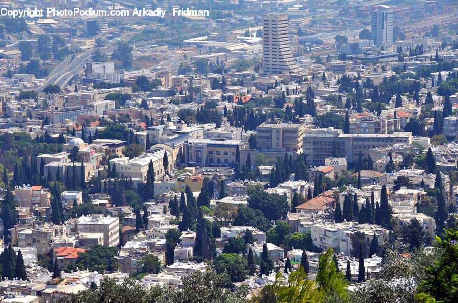 Aerial View, City, Downtown, Metropolis, Urban, Building, Town