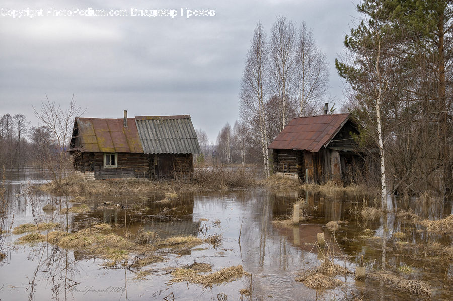 Cabin, Hut, Rural, Shack, Shelter, Countryside, Field