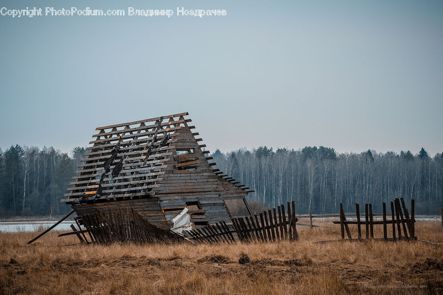 Cabin, Hut, Rural, Shack, Shelter, Lumber, Building