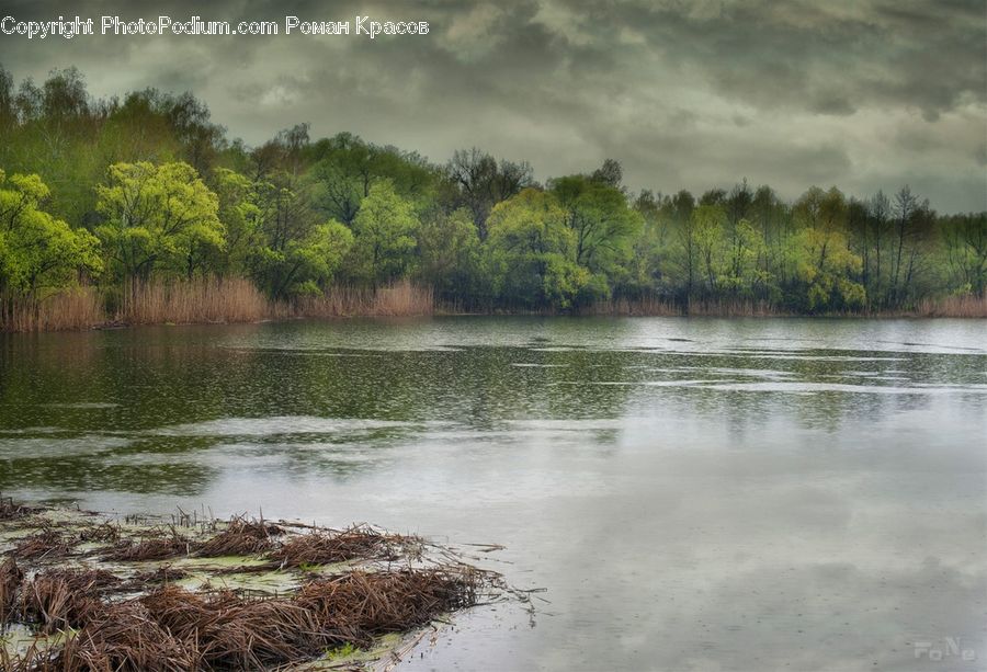 Outdoors, River, Water, Landscape, Nature, Scenery, Plant